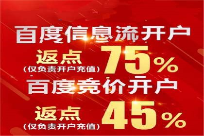 行业领先企业的SEM代理案例剖析